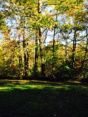 View from the porch. Lovely!