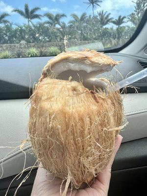 Fresh Young Coconut