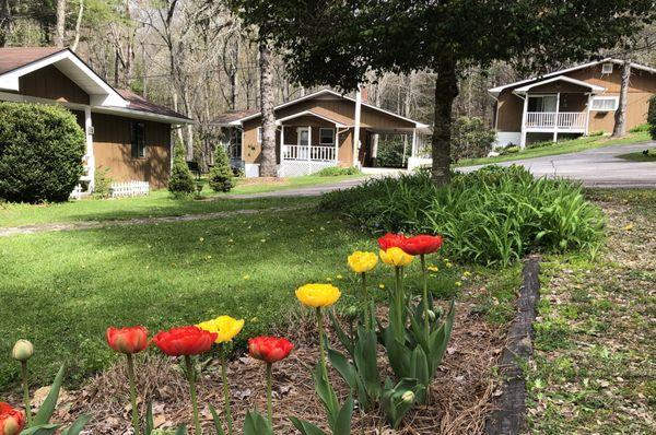 Cottages for families, couples and individuals to enjoy Linville Falls, NC and Blue Ridge Parkway.