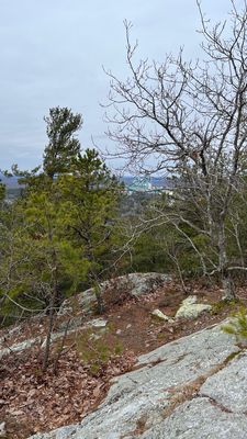 Foxwoods view