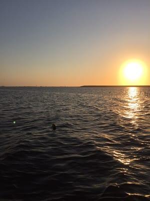 Early morning on the sound.