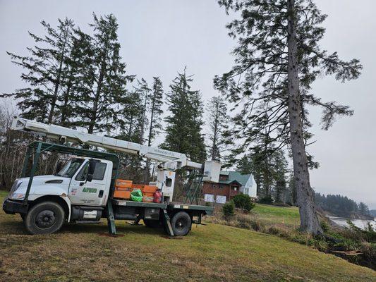 Coastal Tree Service