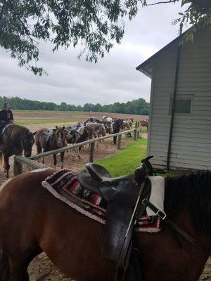 Saddled and ready to ride!