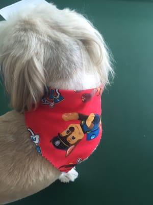 Paw Patrol scarf