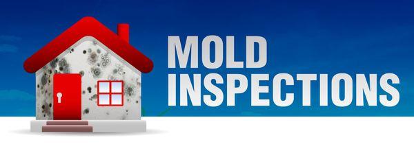 mold inspections 300.00