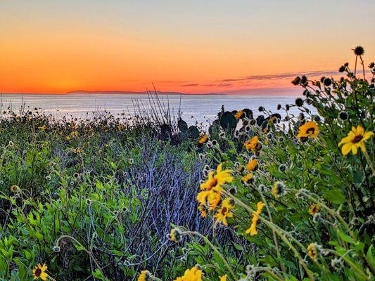 Sea Summit At Marblehead Trail