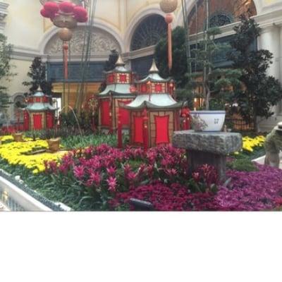 Chinese New Year - Year of the Monkey at the Bellagio AICPA Conference 2016