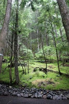 MHKC is located right in the Mt. Hood National Forest. So beautiful and relaxing!