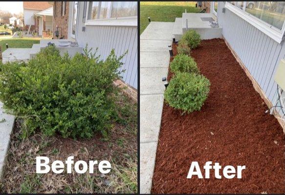 Trimming bushes and mulch.