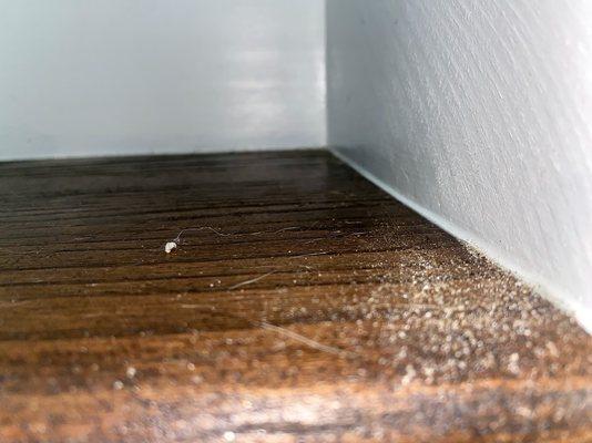 Stairs close-up: No vacuum or mopping