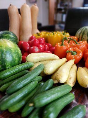 Produce On Wheels - With Out waste