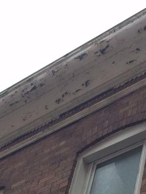 Chipping lead-based paint on a cornice, a very common location.