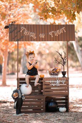 Trick or Treat mini session