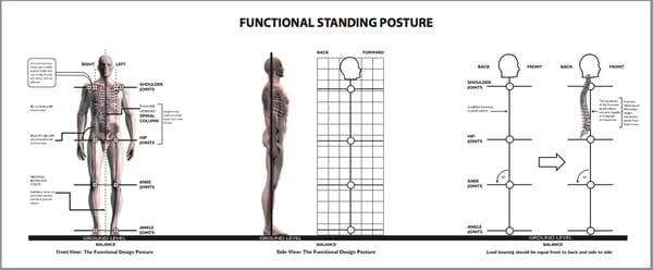 Egoscue "Blueprint" - Functional Standing Posture.