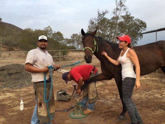 Triple L Horseshoeing