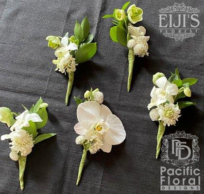 Beach Wedding, Groom Boutonnieres, White Phalaenopsis and Dendrobium Orchids, White Clover, Flowering Bupleurum