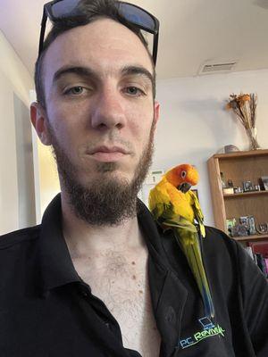 We love hanging out with our customers pets! This bird flew right over to me while I was fixing a computer!