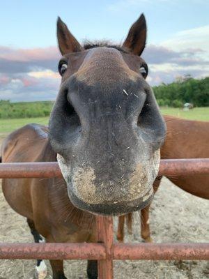 Swift Creek Riding Academy