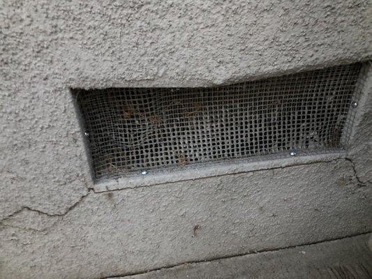 Crawl Space Vents