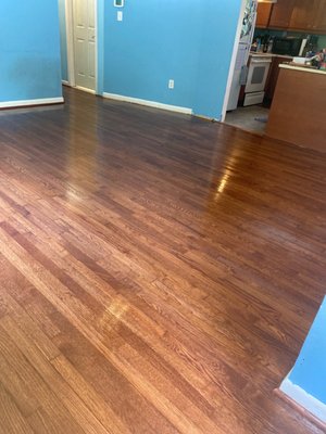 Sanded and stained hardwood floor- quality work!