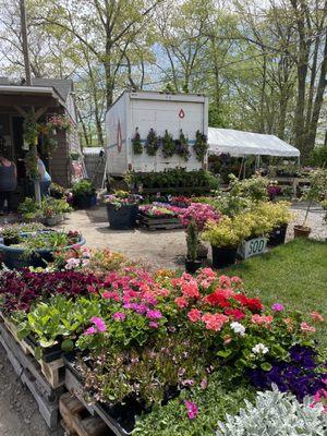 Twin River Nursery