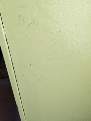 Termite damage