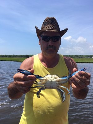 Big blue claw caught in the Barnegat Bay on Bobs Marina pontoon.