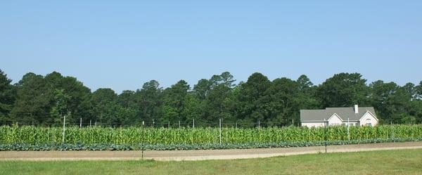 Heritage Organic Farm