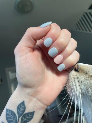 Dip powder nails