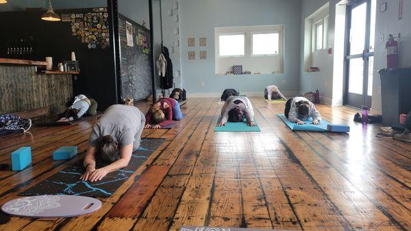 Hops & Flow Yoga classes. Local breweries include Oakholm brewery, Seven Railroads Brewery,  Vanished Valley Brewery, and Wormtown Brewery.