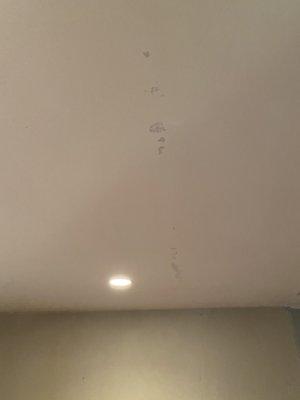 Scraped ceiling