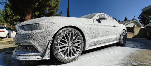 2017 GT Mustang Spa Wash