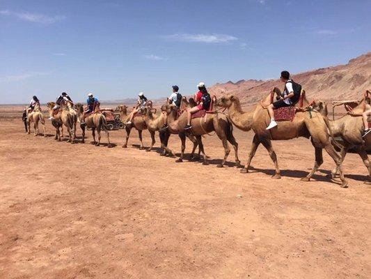 Students riding camel caravan on ancient silk road