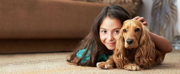 Carpet Cleaning