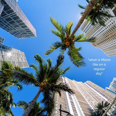 What is Miami like, on a regular day. Eddie Valladares Miami Real Estate Agent