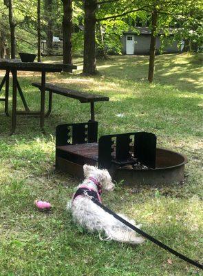 Beautiful place to relax and enjoy nature. Fire rings and tables located near each site.