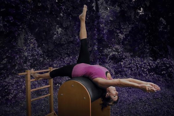 Back Extension   Susan Milosky on Ladder Barrel