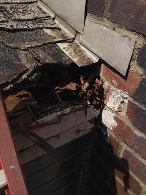 Water damage from not having proper drainage system in place ( gutters)