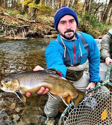 beautiful brooke trout