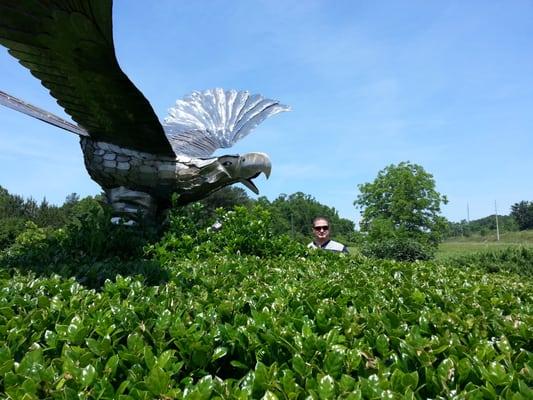 Eagle sculpture out front