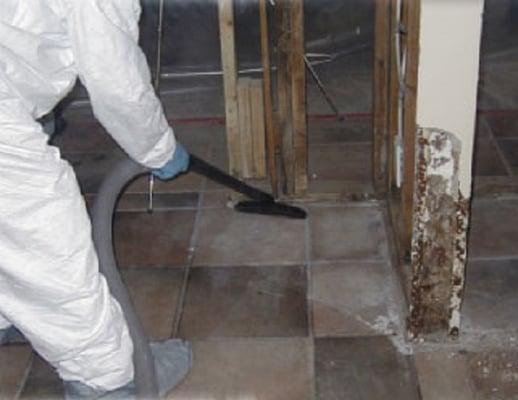 Mold Remediation and Mold Removal Services New Jersey