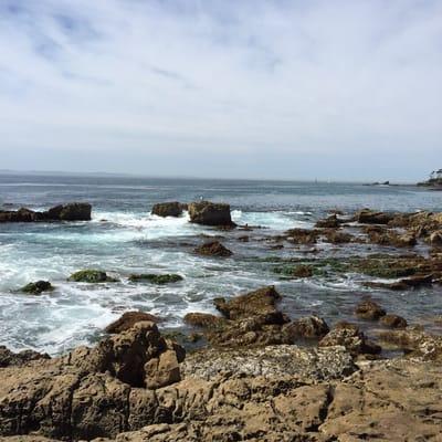 Glenn E Vedder Ecological Reserve - Underwater Park and Tidepoo