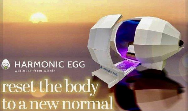 The Harmonic Egg - your  reset point in life is right here!