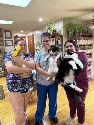 Pumpkin Hill Veterinary Clinic