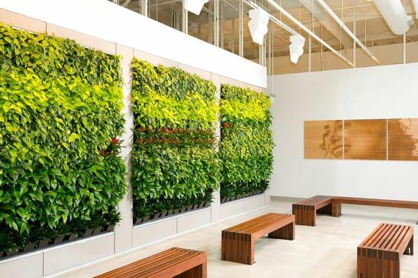 Living Wall