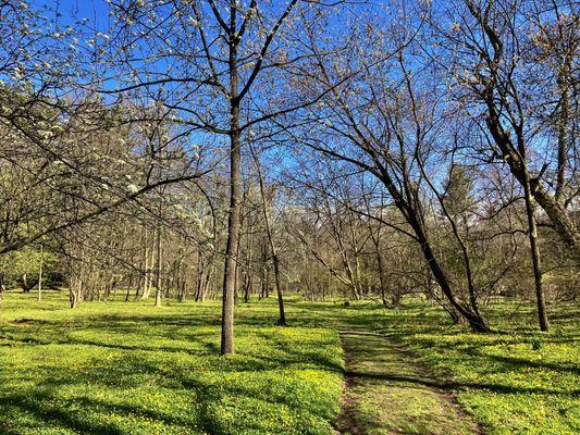 Taylor Arboretum -- April 2023