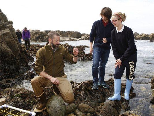 Our Marine Ecology Research Progam includes field work in the Monterey Bay National Marine Sanctuary on a regular basis.