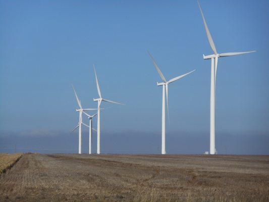 Wind turbines cover the countryside.