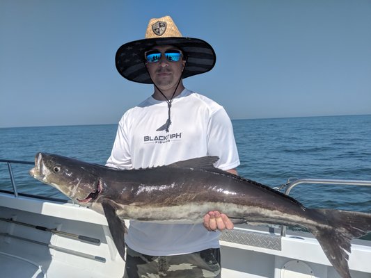 Williamsburg Cobia fishing