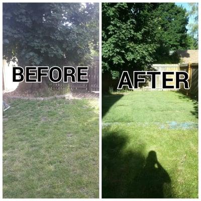 Lawn repair